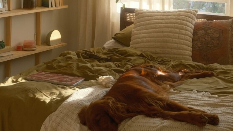 24 Ways to Create Cozy Minimalist Bedroom in 2025