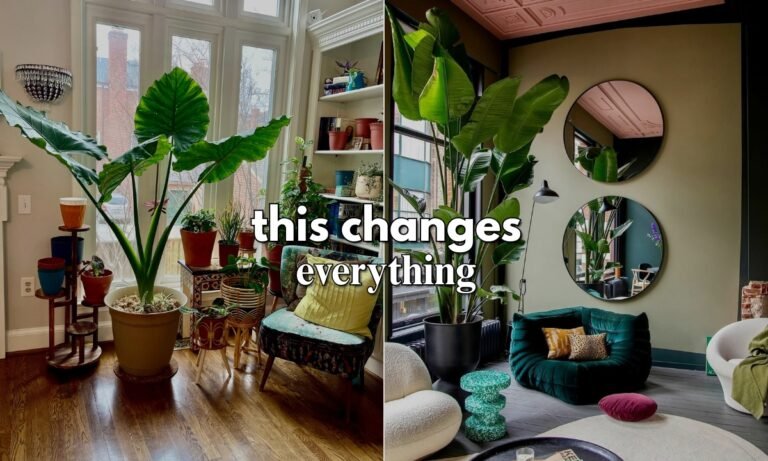 How to Style Living Room Plants Beautifully in 2025